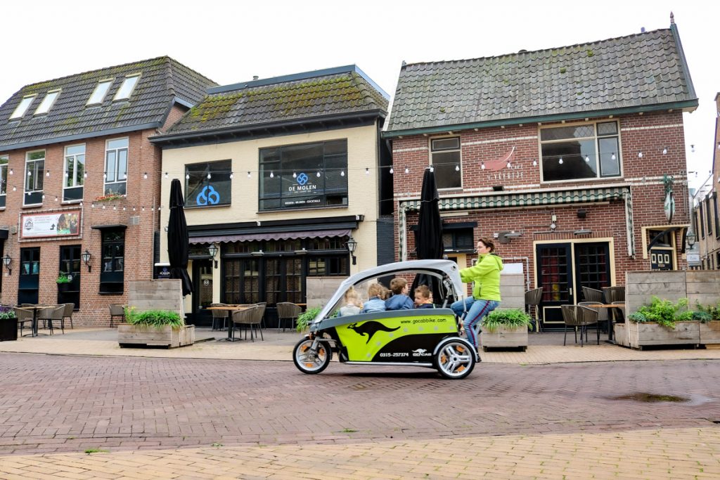 Van Raam Go Gap fietstaxi voor kinderen